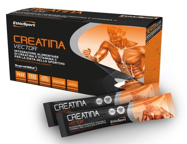 Creatina Vector