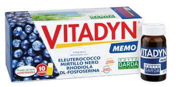 VITADYN MEMO 10FLX10ML S/GINKG