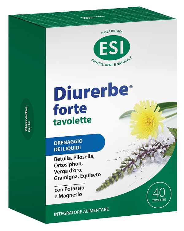 DIURERBE FORTE 40 TAV