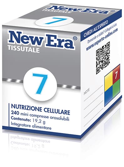 NEW ERA 7 240GR