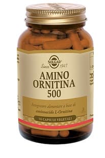 AMINO ORNITINA 500 50CPS SOLGAR