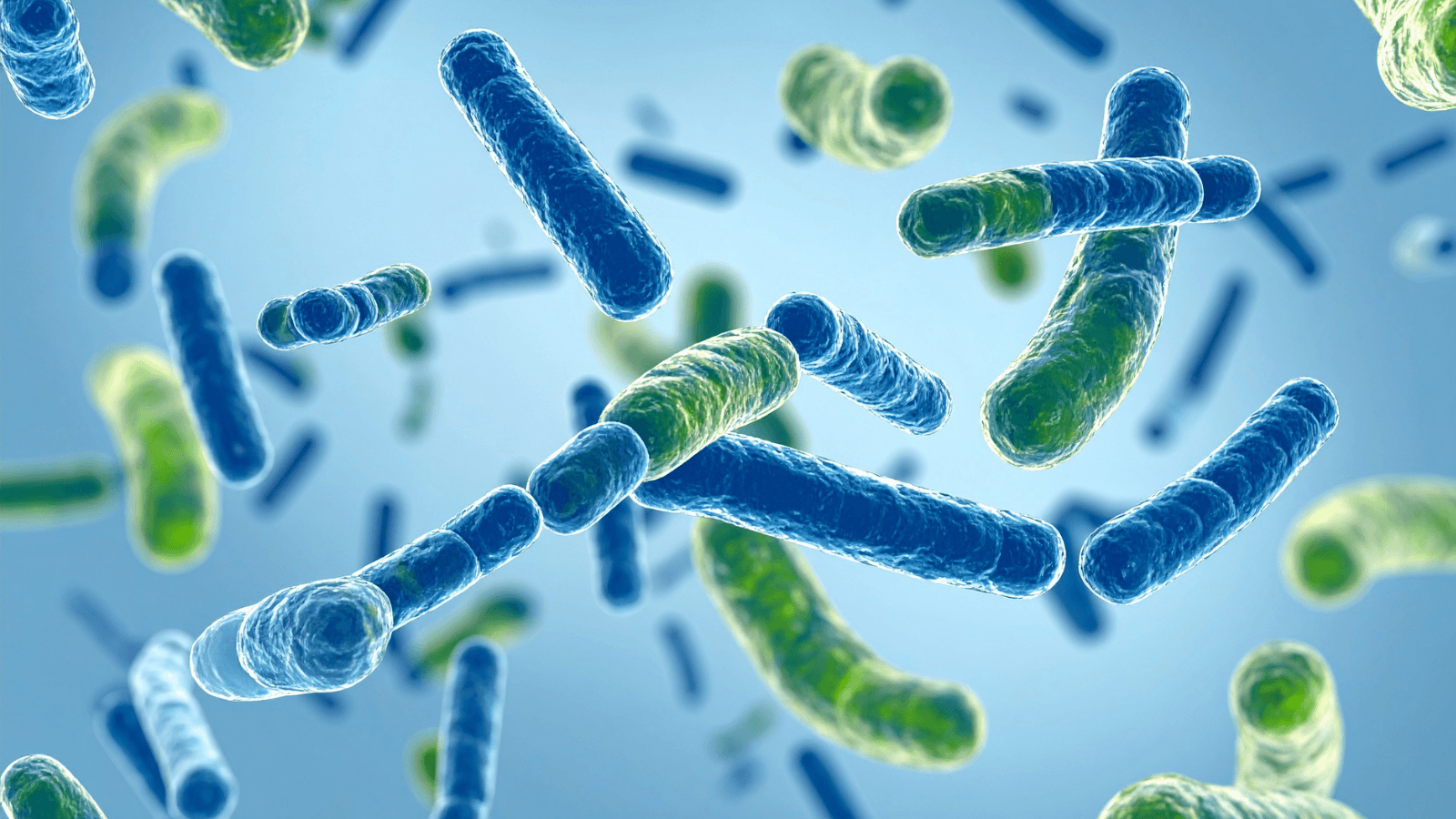 Probiotici e prebiotici: qual è la differenza (e perché non sono la stessa cosa)