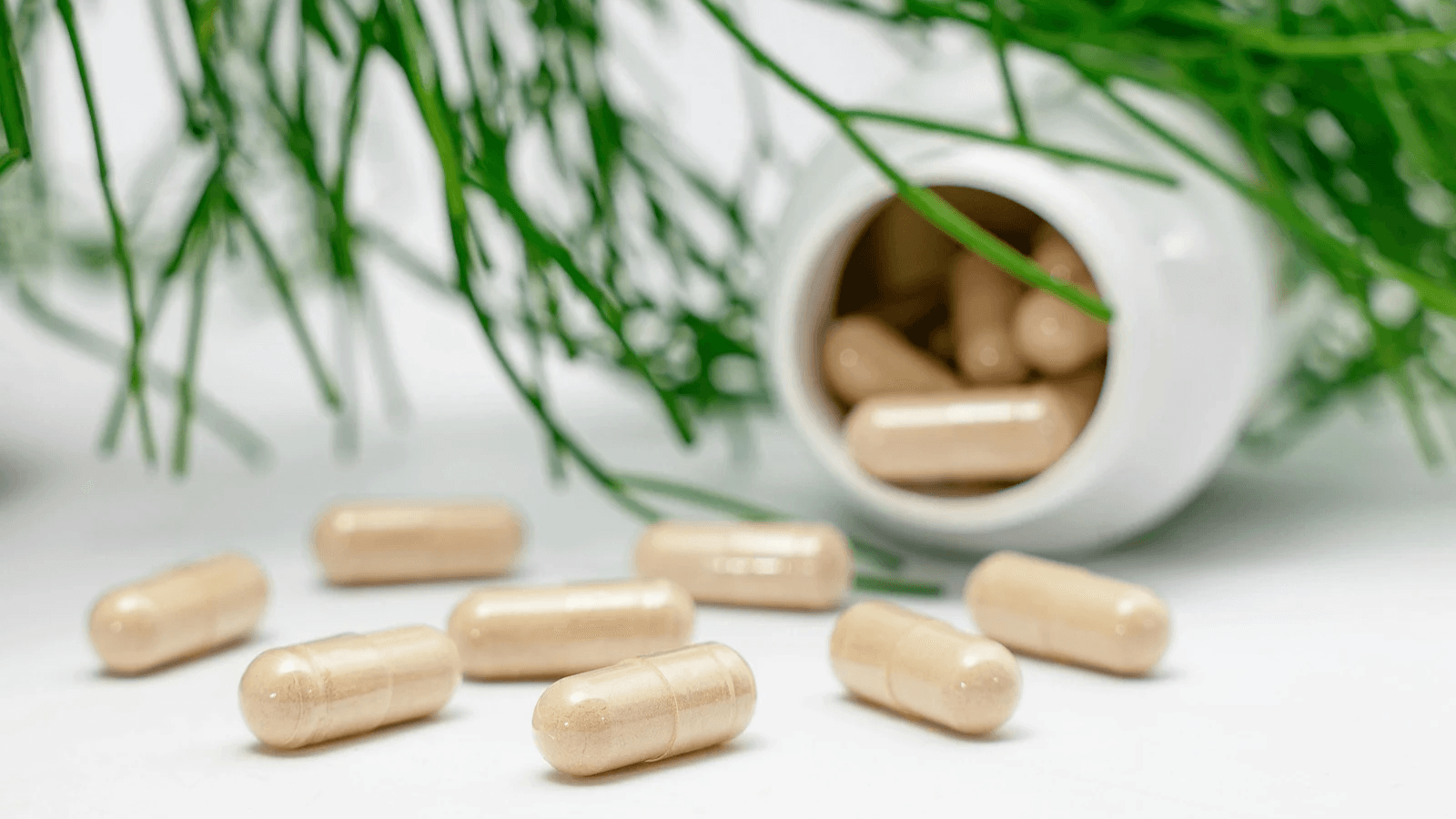 Capsule "gastroresistenti" o a lento rilascio: cosa significa davvero in etichetta